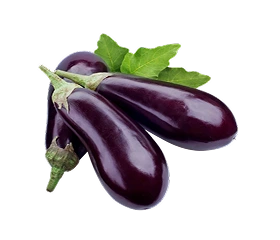 eggplant