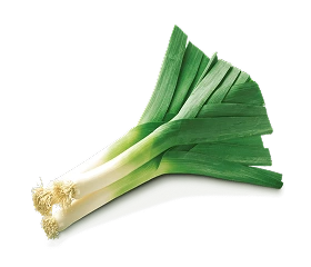 leek
